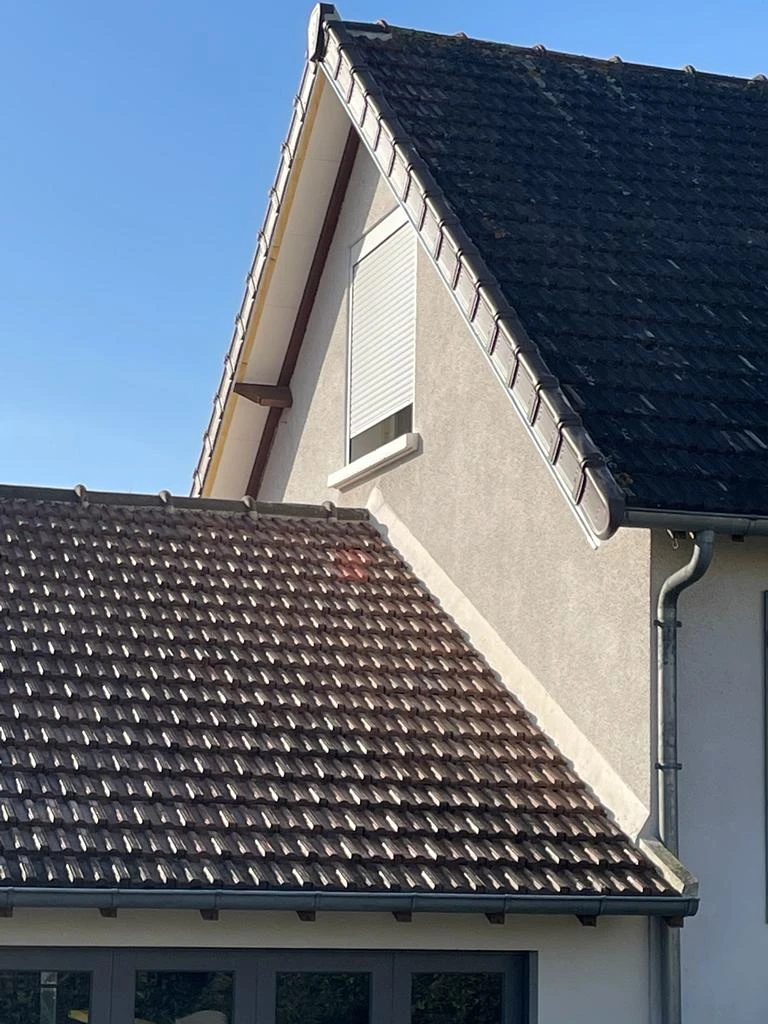88b39b47-4e55-4321-b782-139608008663